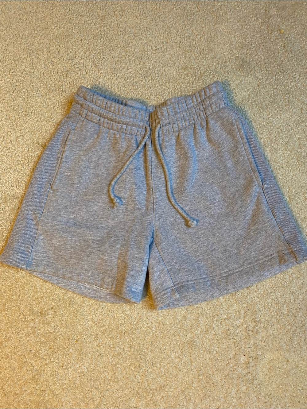 Aritzia grey sweat shorts in the softest fleece